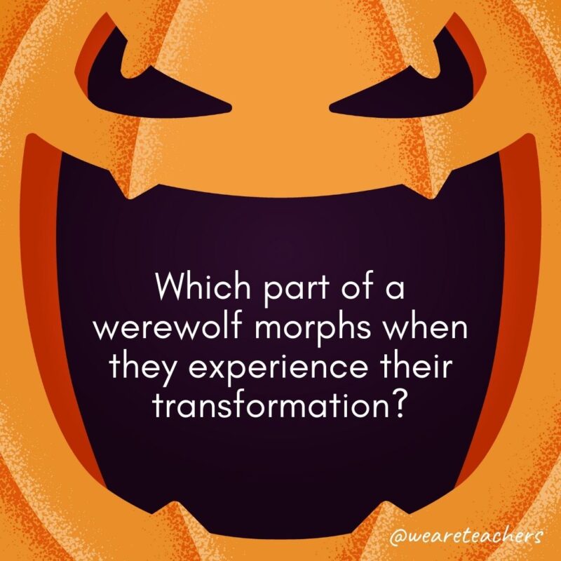 Which part of a werewolf morphs when they experience their transformation?