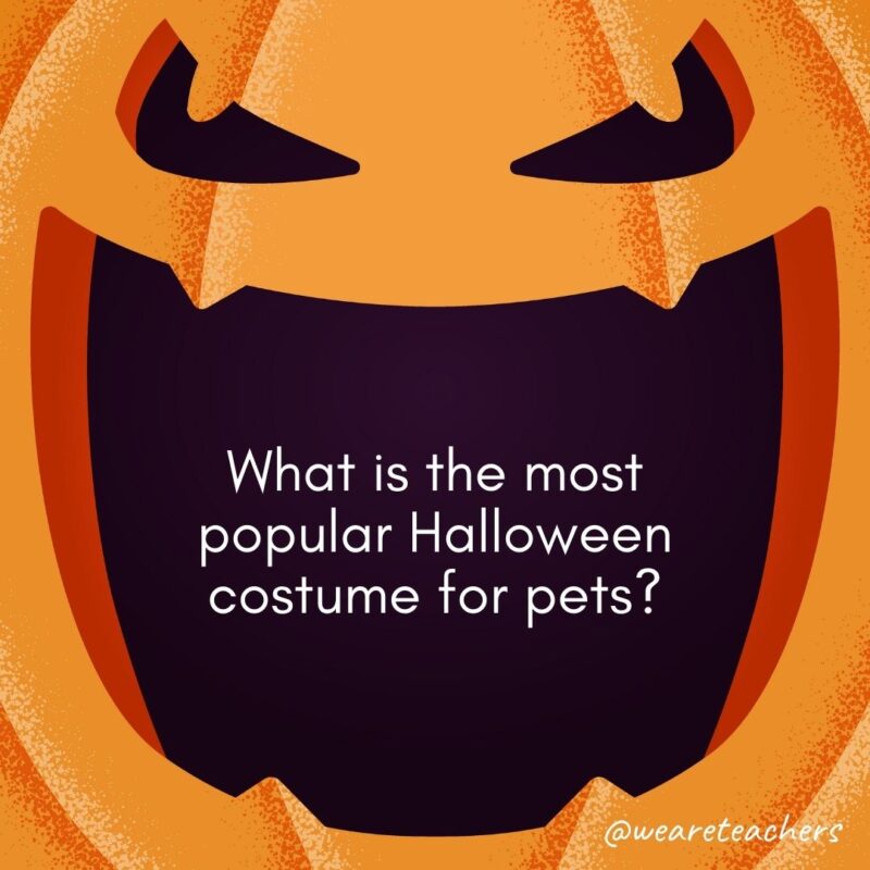 What is the most popular Halloween costume for pets?