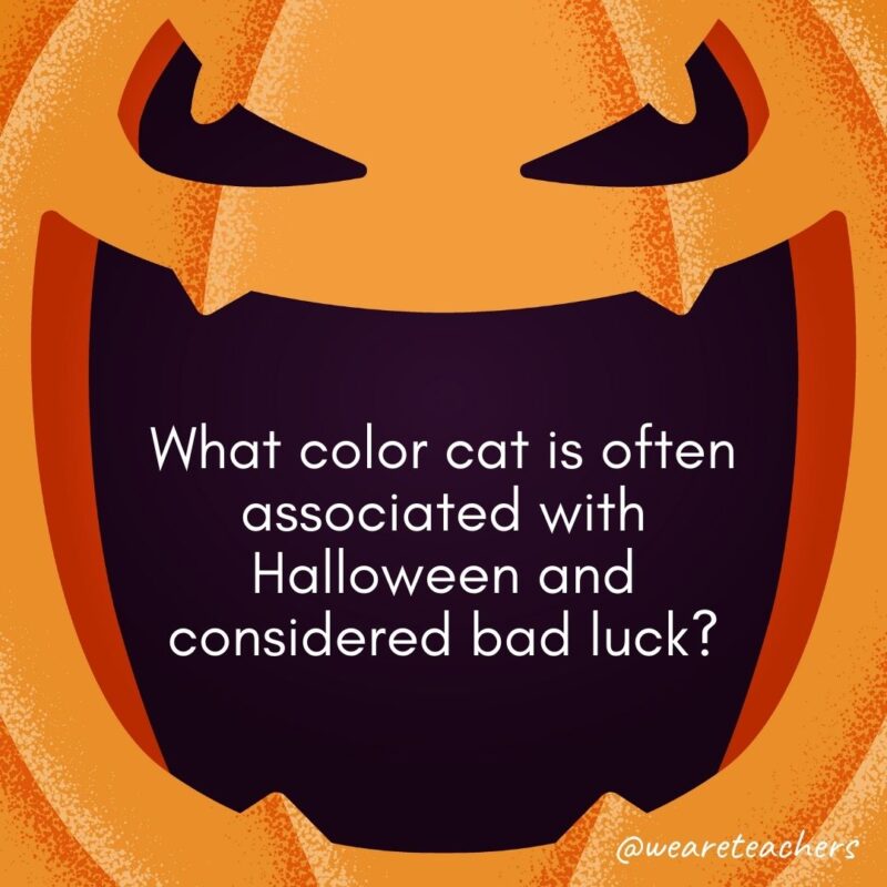  What color cat is often associated with Halloween and considered bad luck?