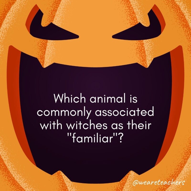 Which animal is commonly associated with witches as their 