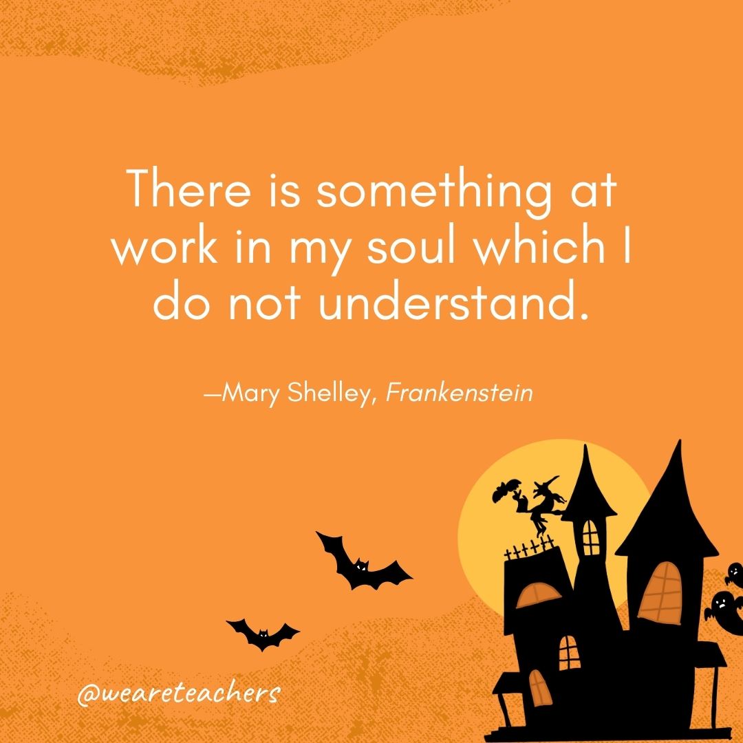 There is something at work in my soul which I do not understand. —Mary Shelley, Frankenstein 