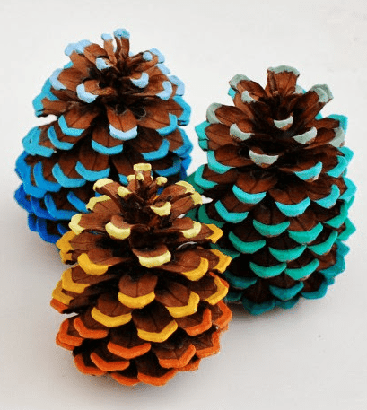 Pinecones with colorful tips