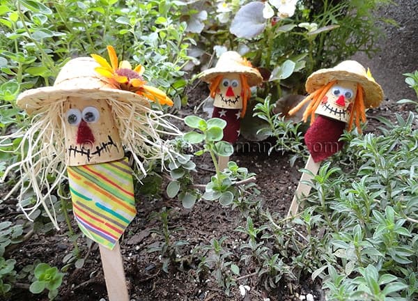 Paper bag scarecrows guard a garden