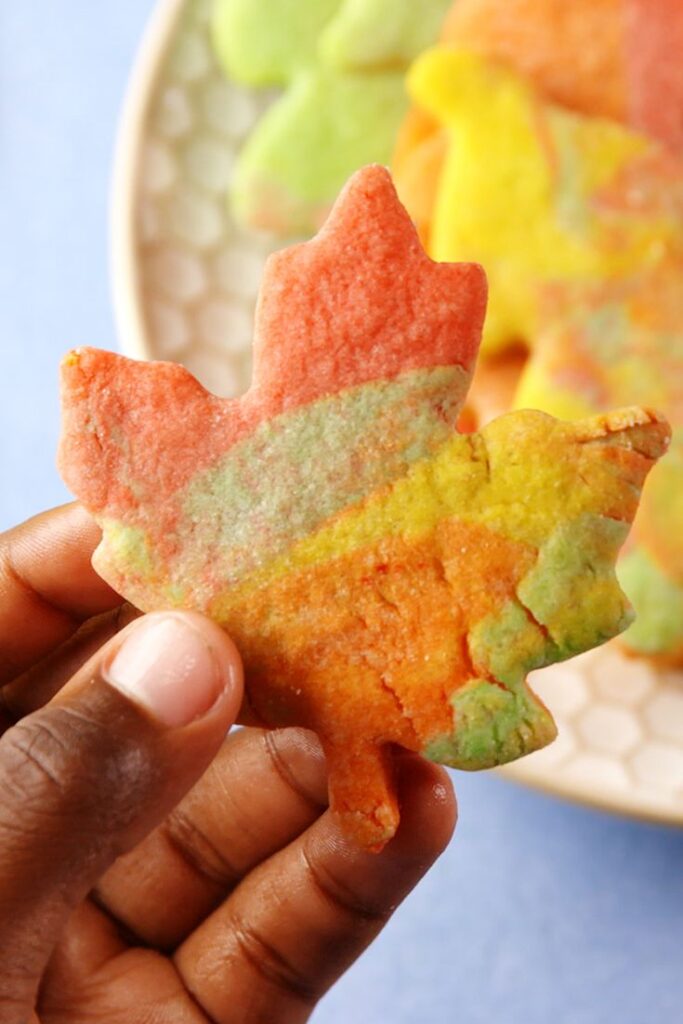 Colorful marbled cookie in the shape of a leaf