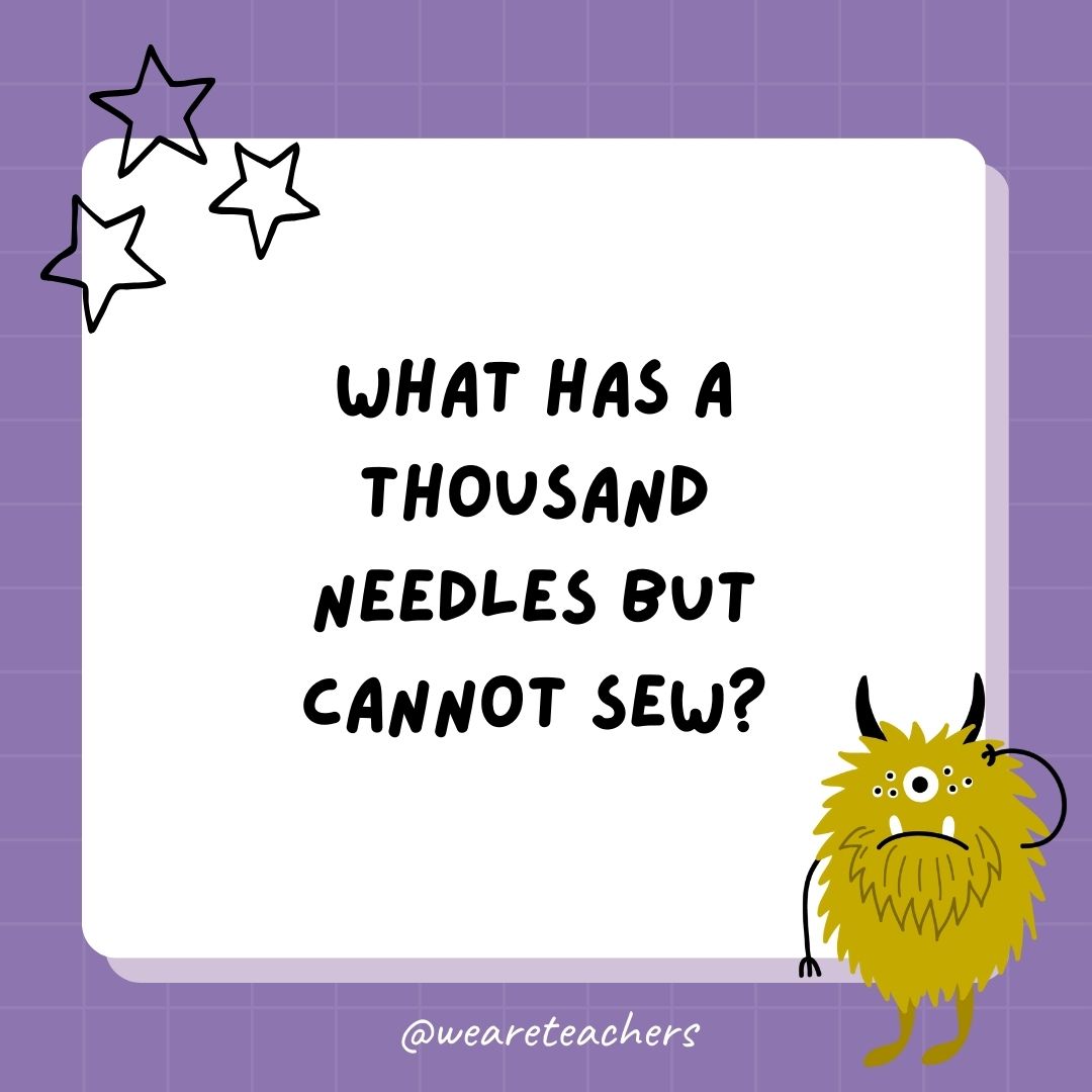 What has a thousand needles but cannot sew? 
- best funny riddles