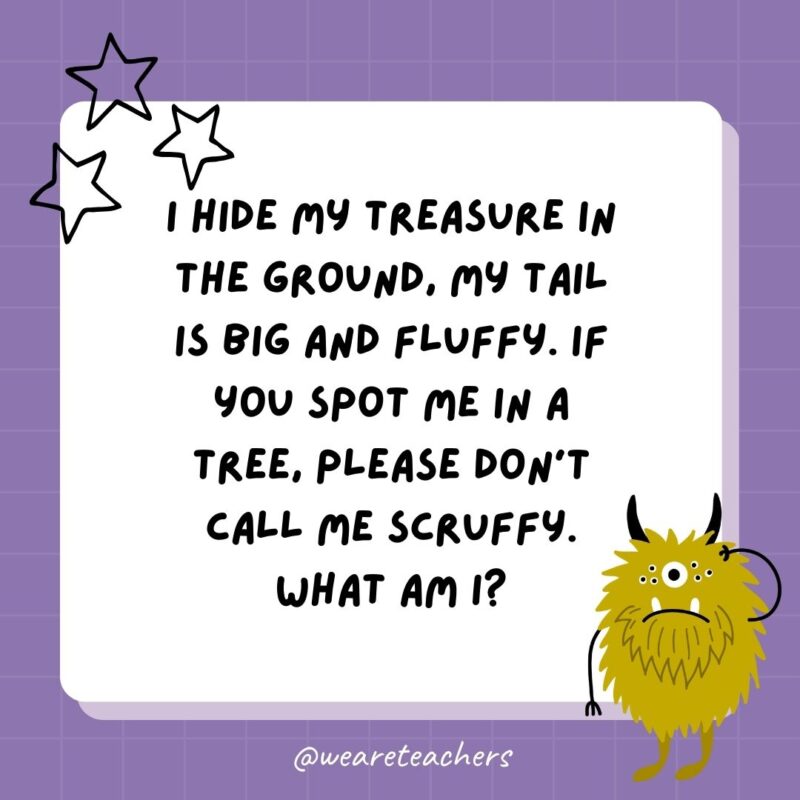 I hide my treasure in the ground, my tail is big and fluffy. If you spot me in a tree, please don’t call me scruffy. What am I?