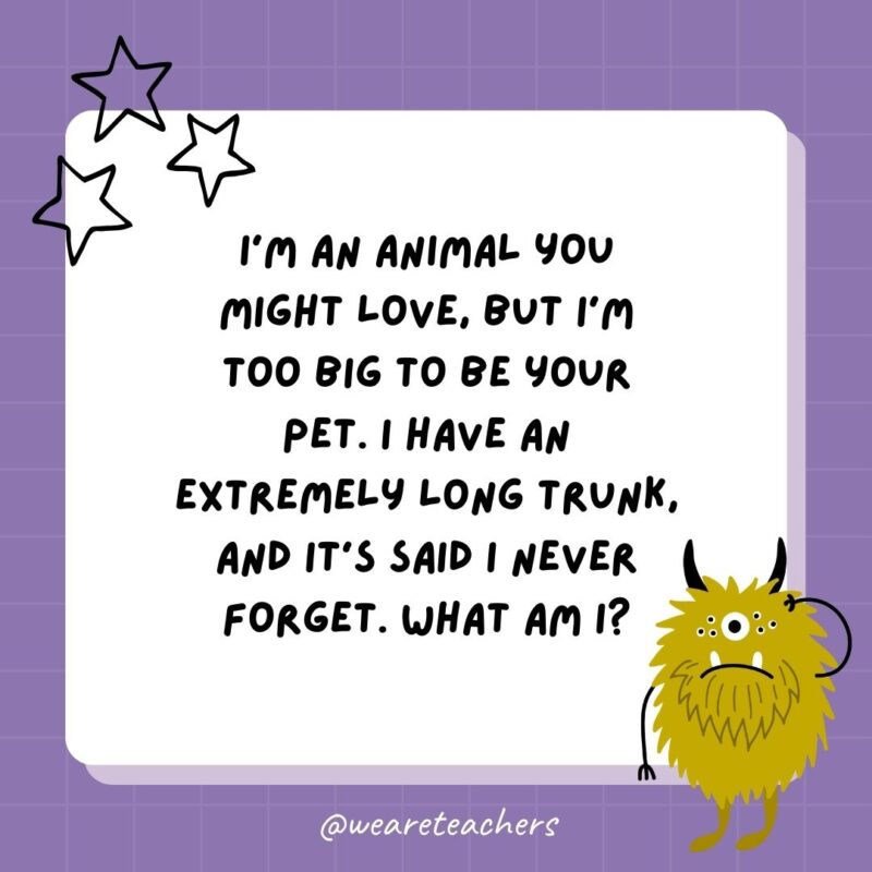 I’m an animal you might love, but I’m too big to be your pet. I have an extremely long trunk, and it’s said I never forget. What am I?- best funny riddles