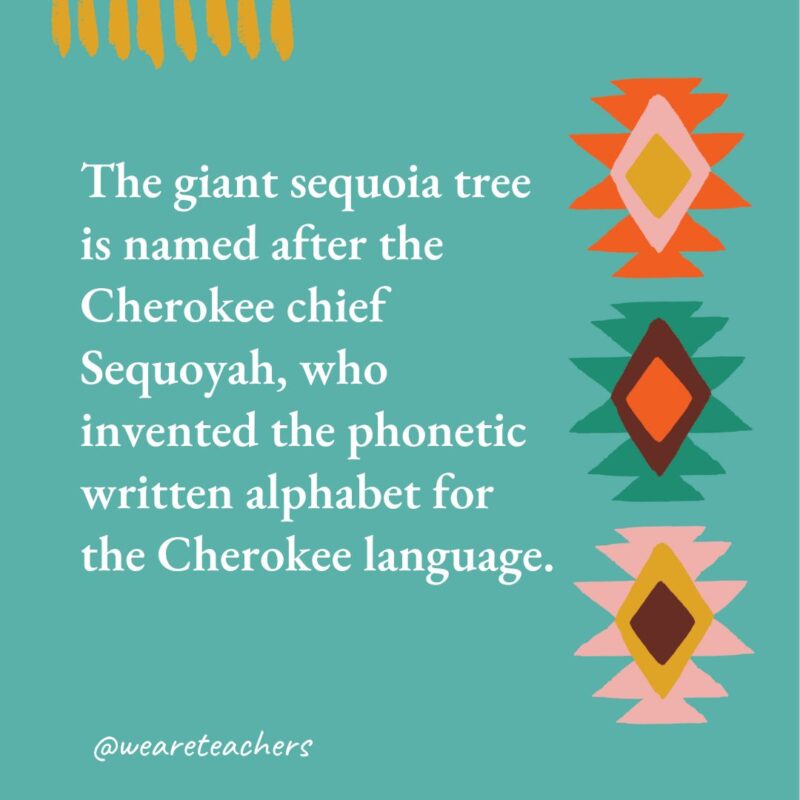 The giant sequoia tree is named after the Cherokee chief Sequoyah, who invented the phonetic written alphabet for the Cherokee language.