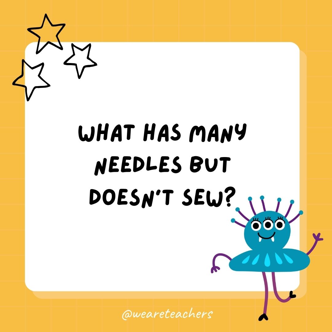 What has many needles but doesn’t sew? 
