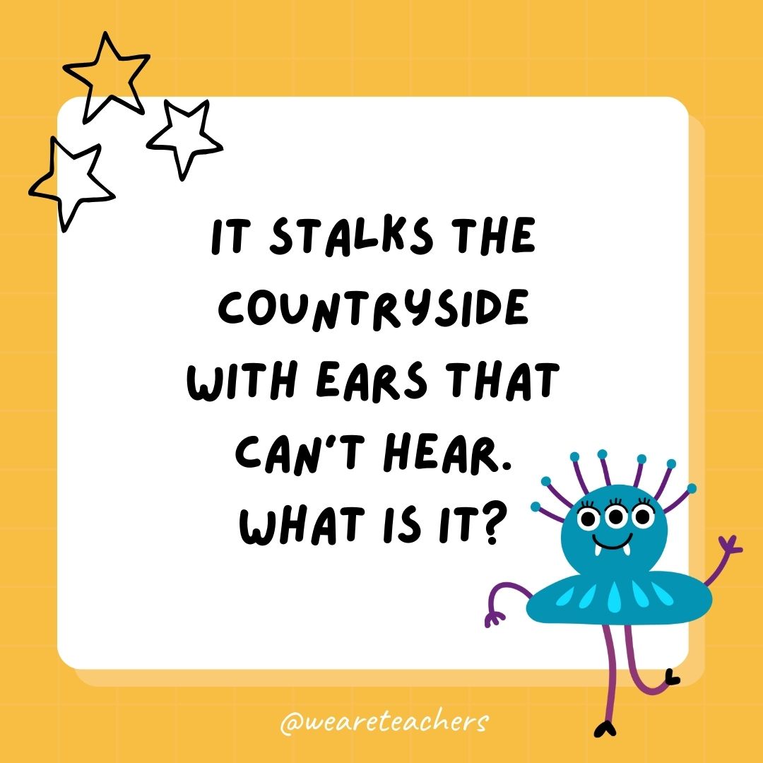 It stalks the countryside with ears that can’t hear. What is it? 
- best funny riddles