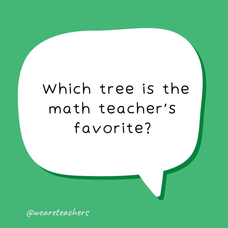 Which tree is the math teacher’s favorite?