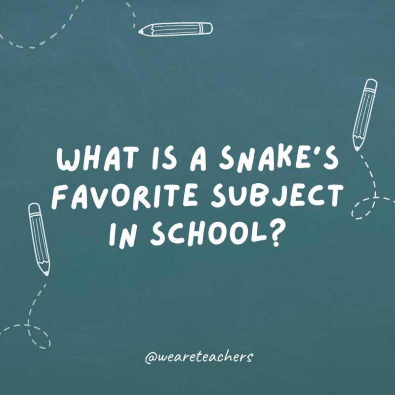 What is a snake’s favorite subject in school? Hisss-tory.