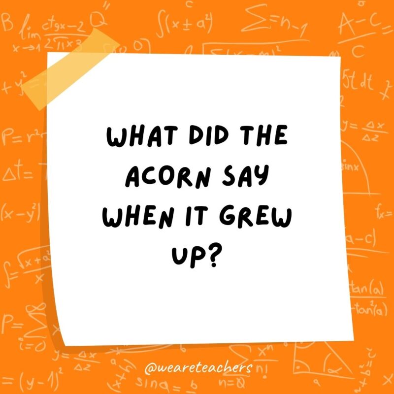 What did the acorn say when it grew up? Ge-om-e-try! (Gee, I'm a tree!)- math jokes