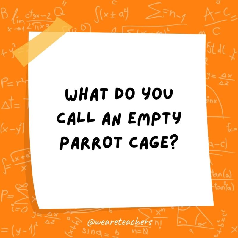 What do you call an empty parrot cage? A polygon. (A Polly gone.)