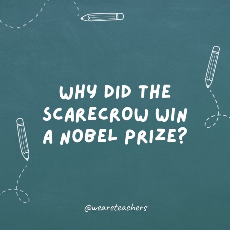 Why did the scarecrow win a Nobel Prize? For being out standing in his field.