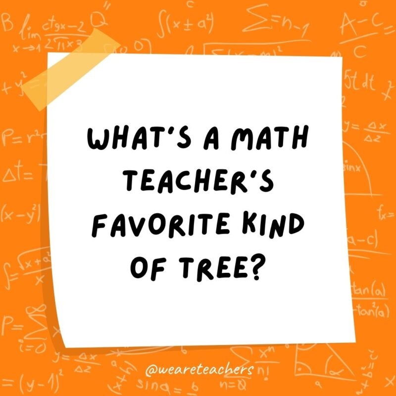 What’s a math teacher’s favorite kind of tree? Geometry.