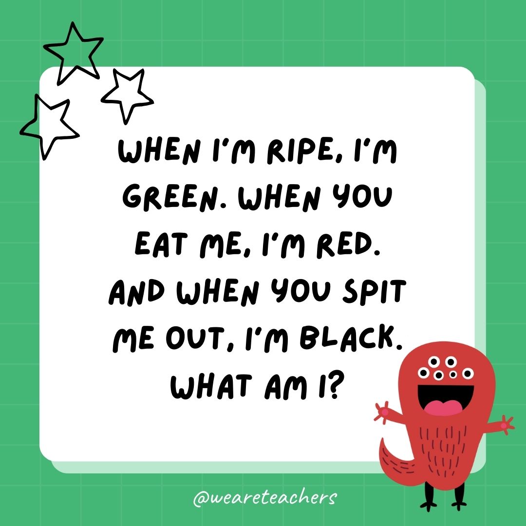 When I’m ripe, I’m green. When you eat me, I’m red. And when you spit me out, I’m black. What am I? 
