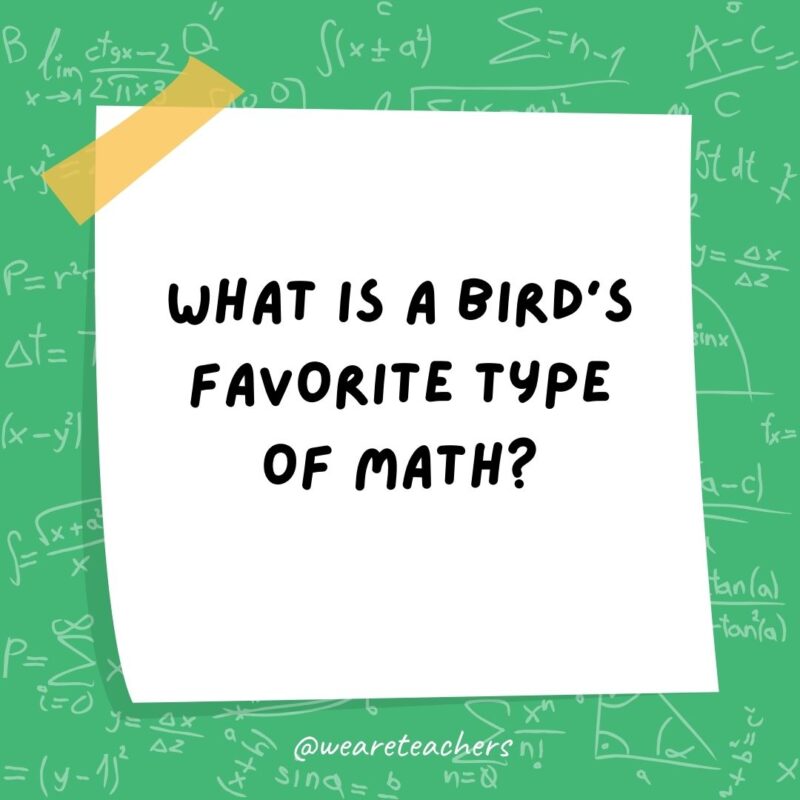 What is a bird’s favorite type of math? Owl-gebra. - math jokes