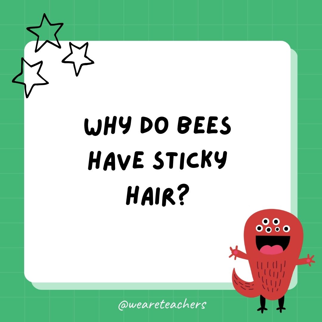 Why do bees have sticky hair? 
- best funny riddles