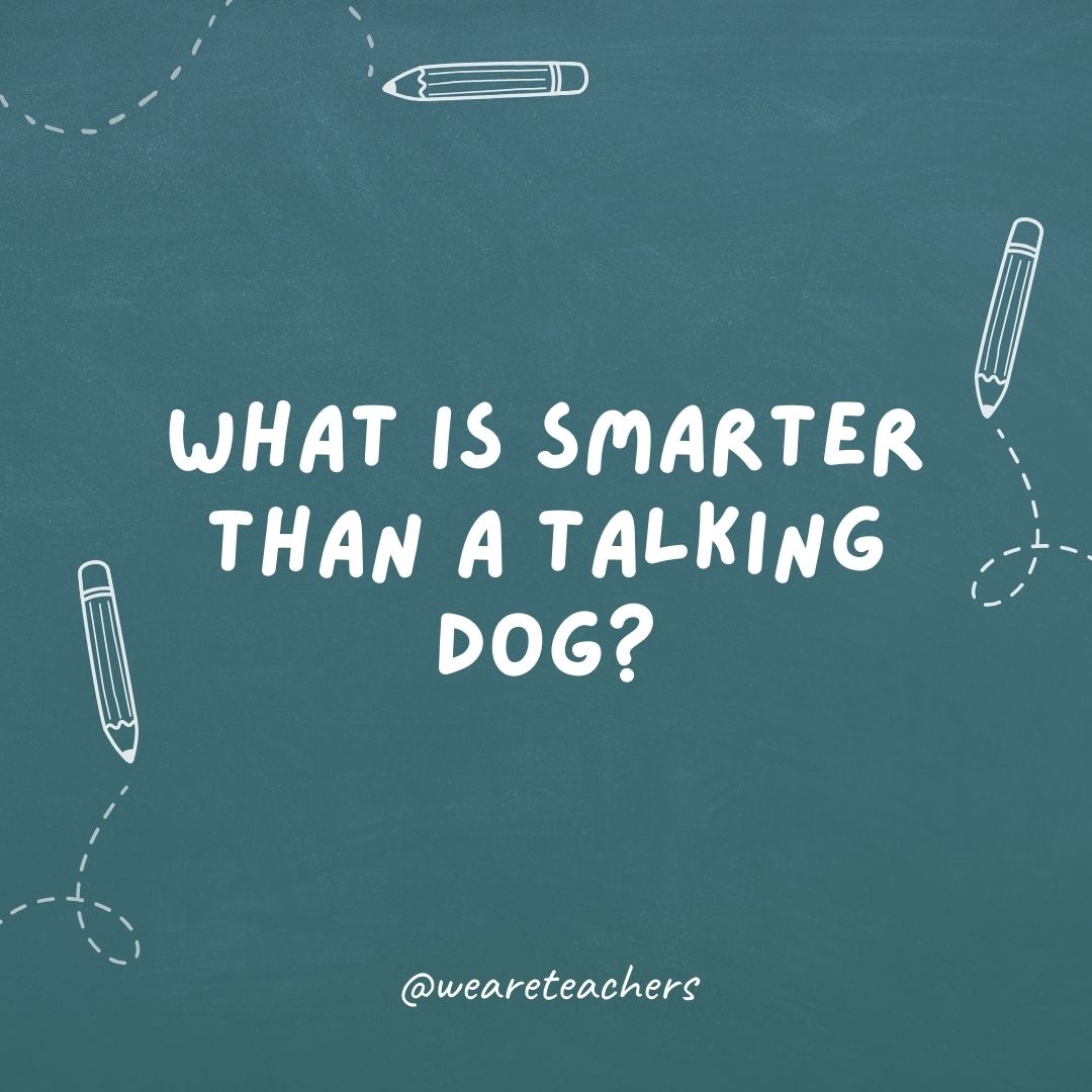 What is smarter than a talking dog? A spelling bee!- teacher jokes