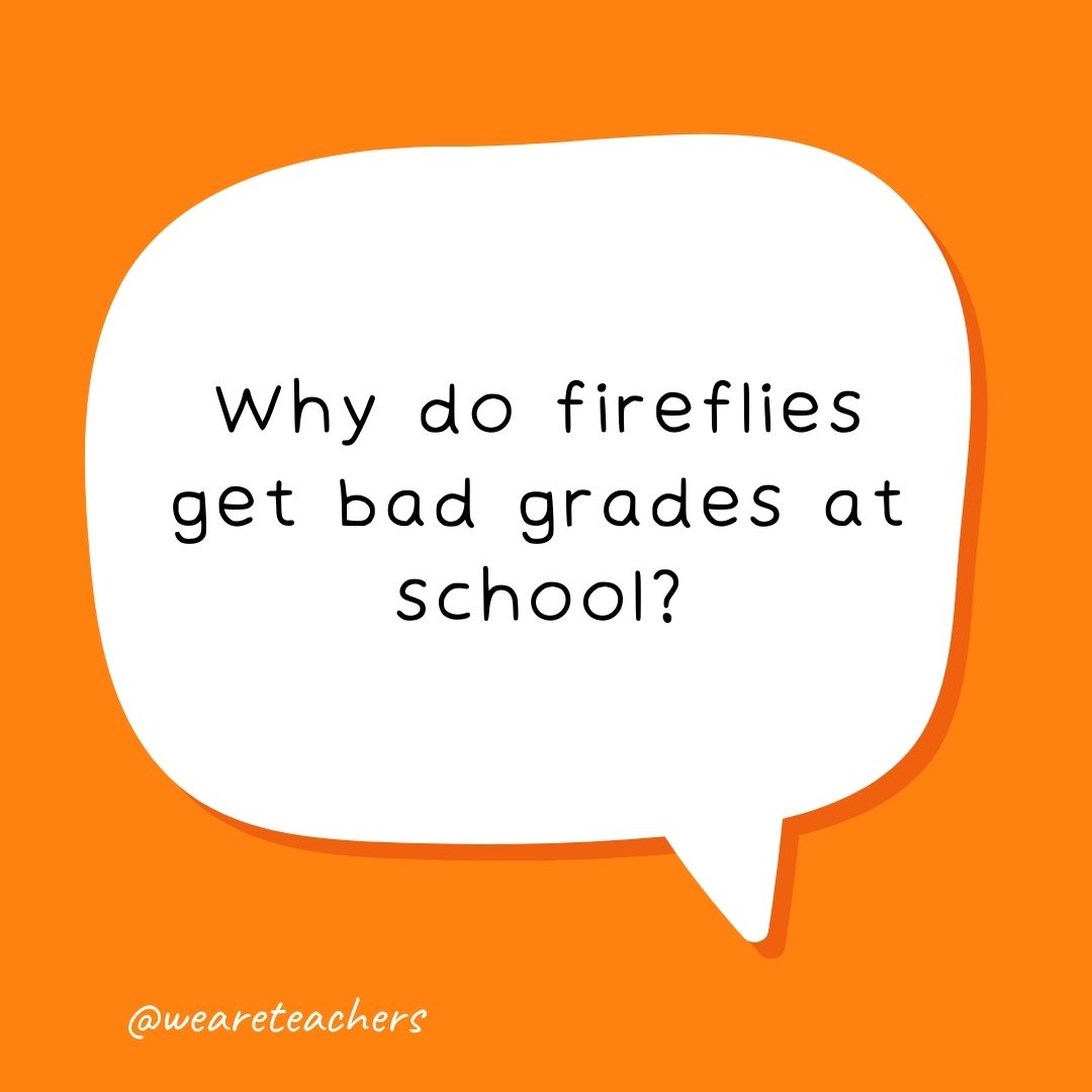 Why do fireflies get bad grades at school?
