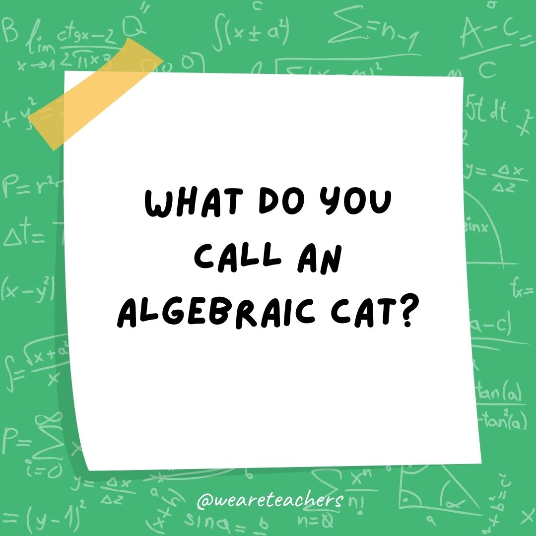 What do you call an algebraic cat?
