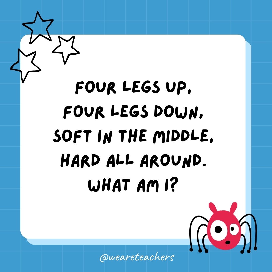 Four legs up, four legs down, soft in the middle, hard all around. What am I? - best funny riddles
