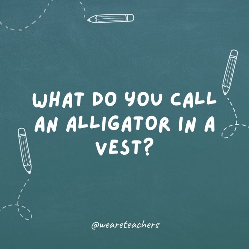 What do you call an alligator in a vest?