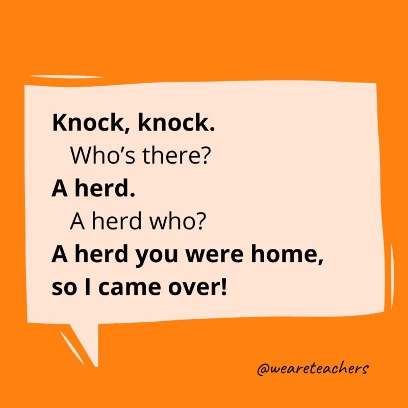 Knock knock. Who’s there? A herd. A herd who? A herd you were home, so I came over!