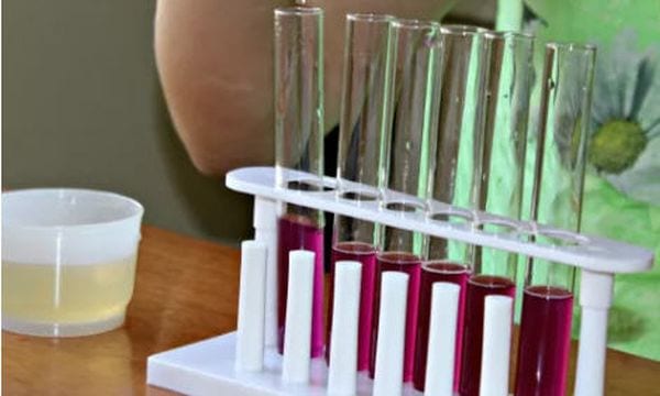 Student using a series of test tubes filled with pink liquid (easy science experiments)