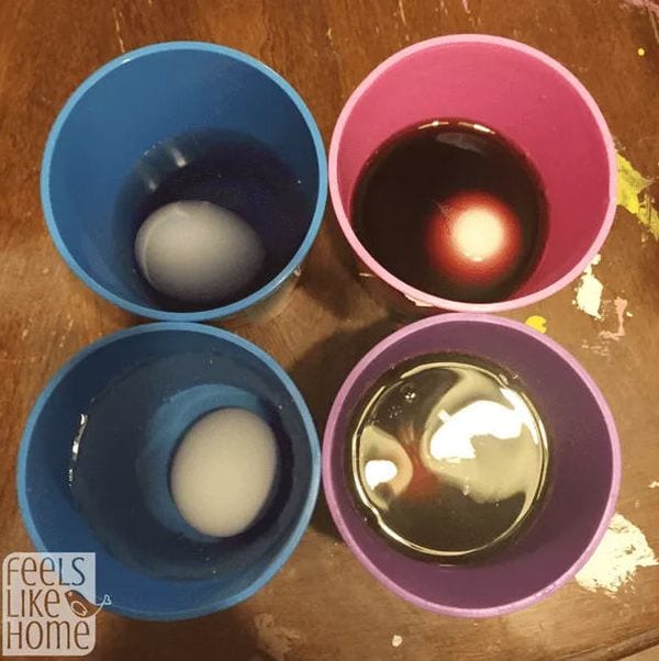 Four colored cups containing different liquids, with an egg in each (easy science experiments)