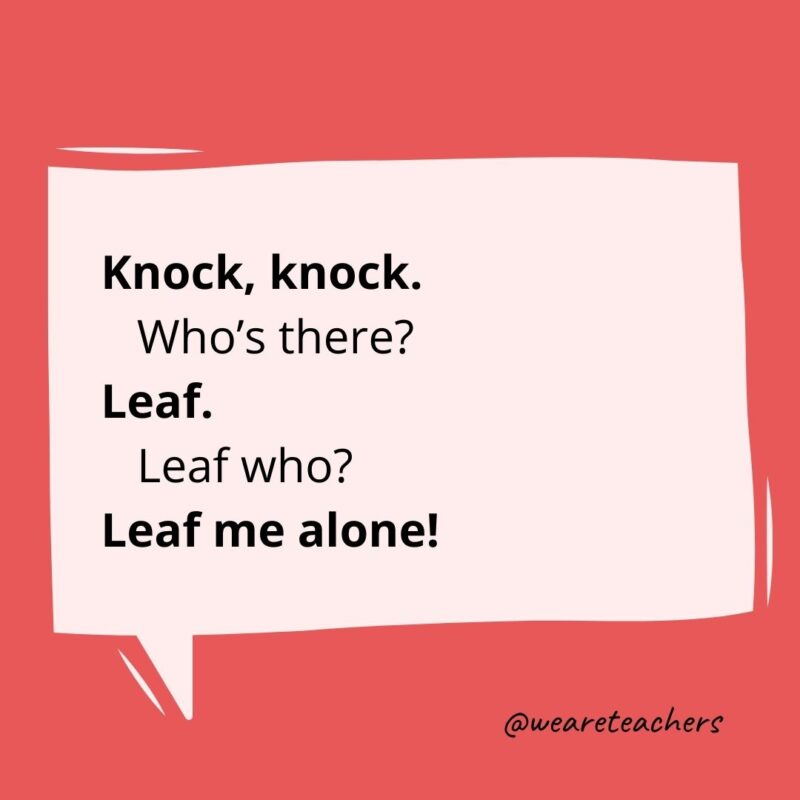 Knock knock. Who’s there? Leaf. Leaf who? Leaf me alone!