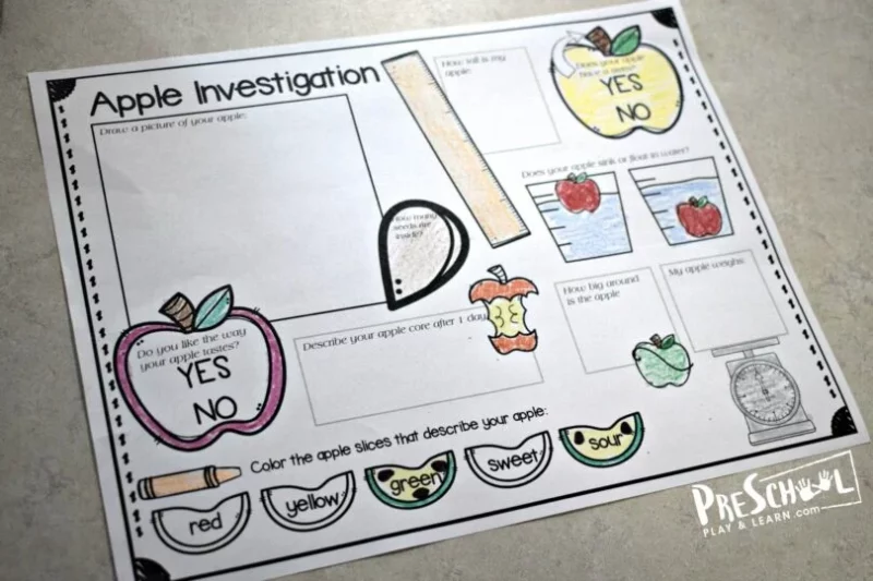 Apple science investigation worksheet for kindergarten science experiments 