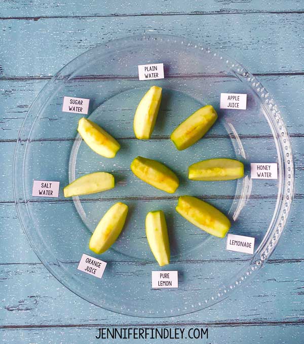 Several apple slices are shown on a clear plate. There are cards that label what they have been immersed in (including salt water, sugar water, etc.) (easy science experiments)