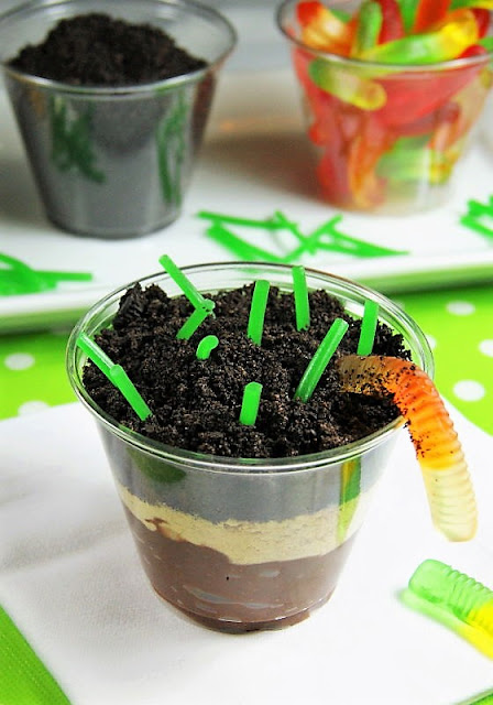 science projects for 2nd graders-- students can demonstrate layers of soil, as seen in this picture of a cup layered with chocolate pudding, Oreo cookie crumbs, and graham crackers.