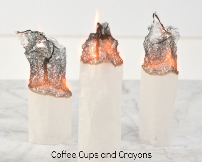 Empty tea bags burning into ashes (easy science experiments)