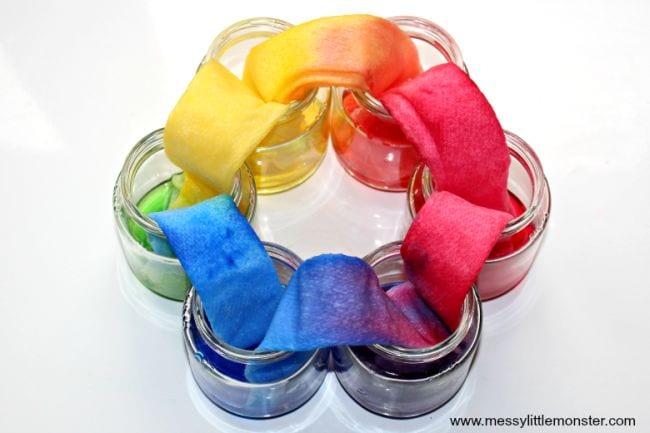 Jars of colored water in a circle, with paper towels running from one to the next as an example of kindergarten science experiments