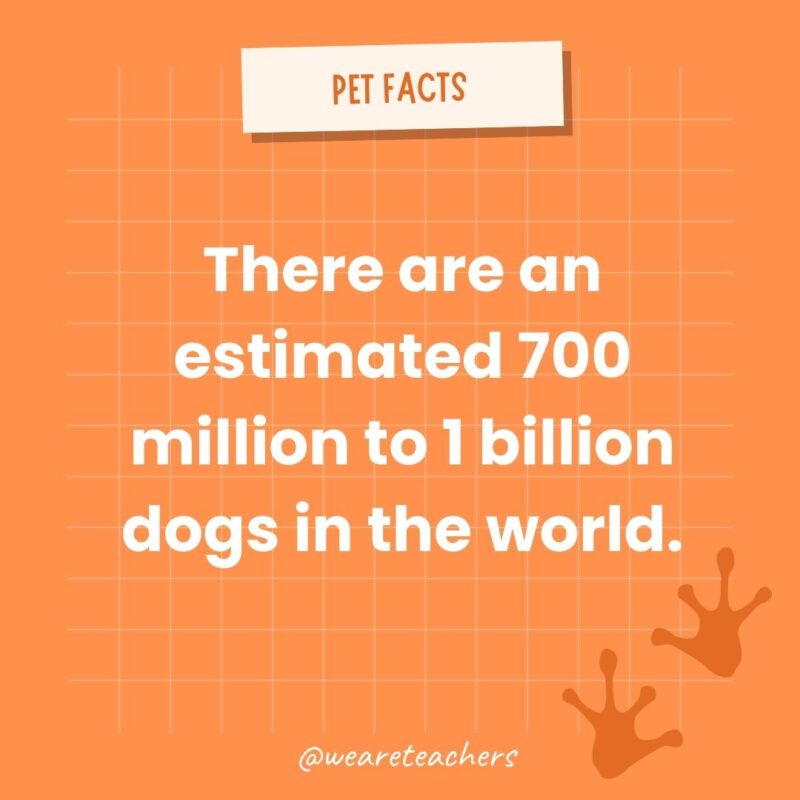 There are an estimated 700 million to 1 billion dogs in the world. 