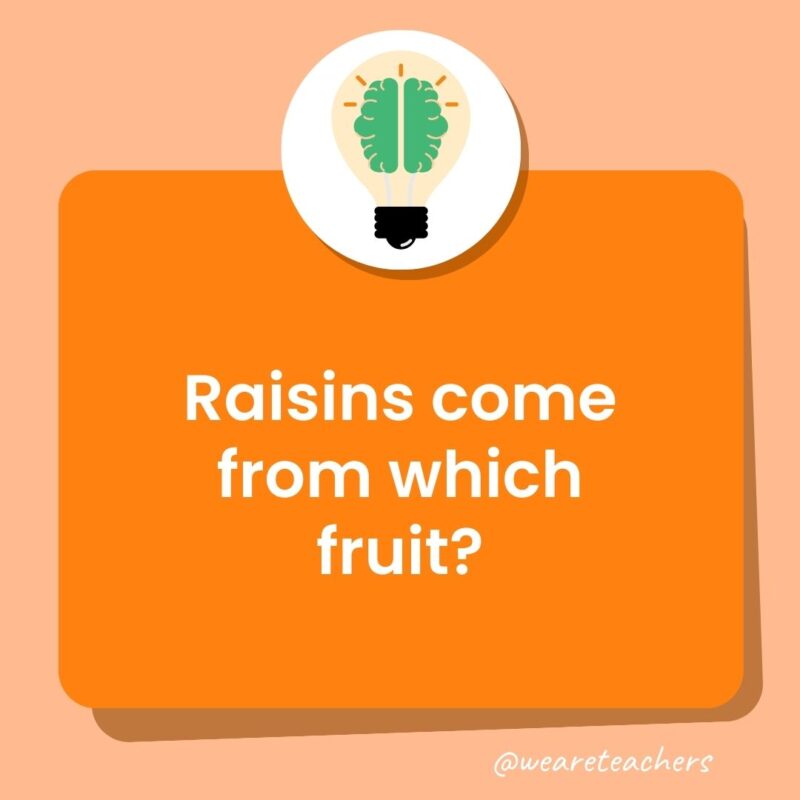 Raisins come from which fruit?