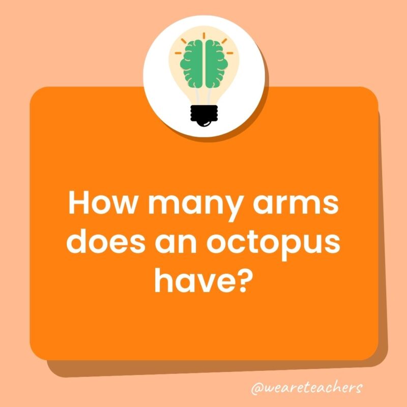 Trivia questions for kids: How many arms does an octopus have?