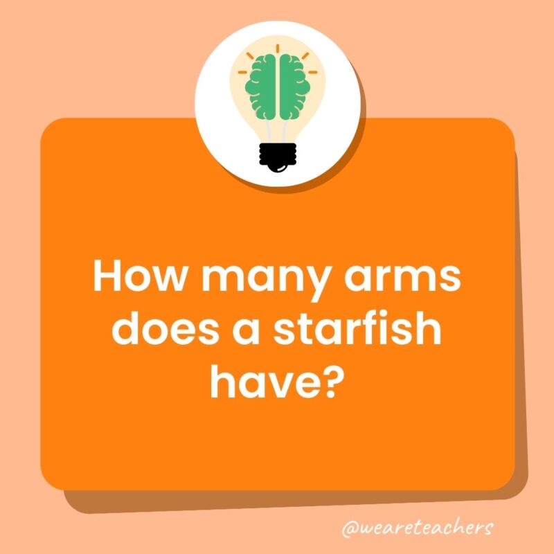 How many arms does a starfish have?