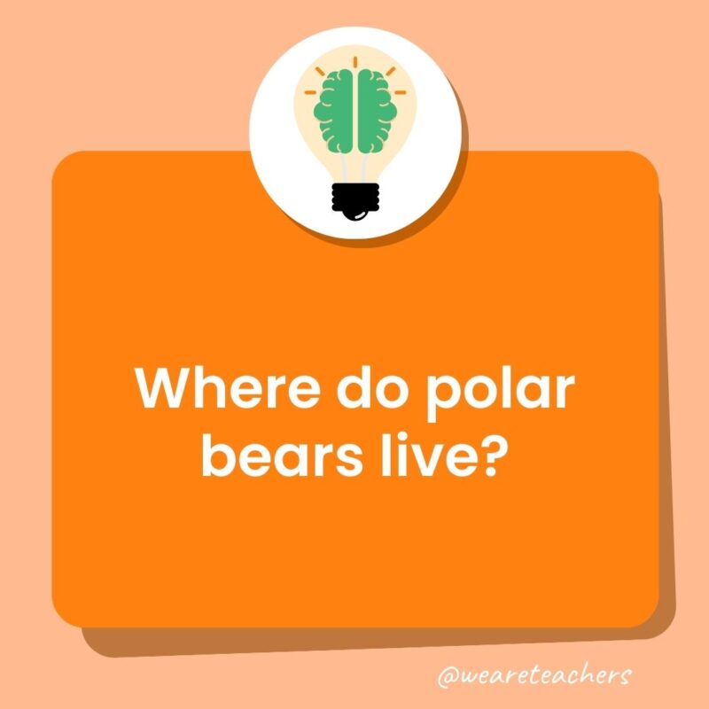 Where do polar bears live?