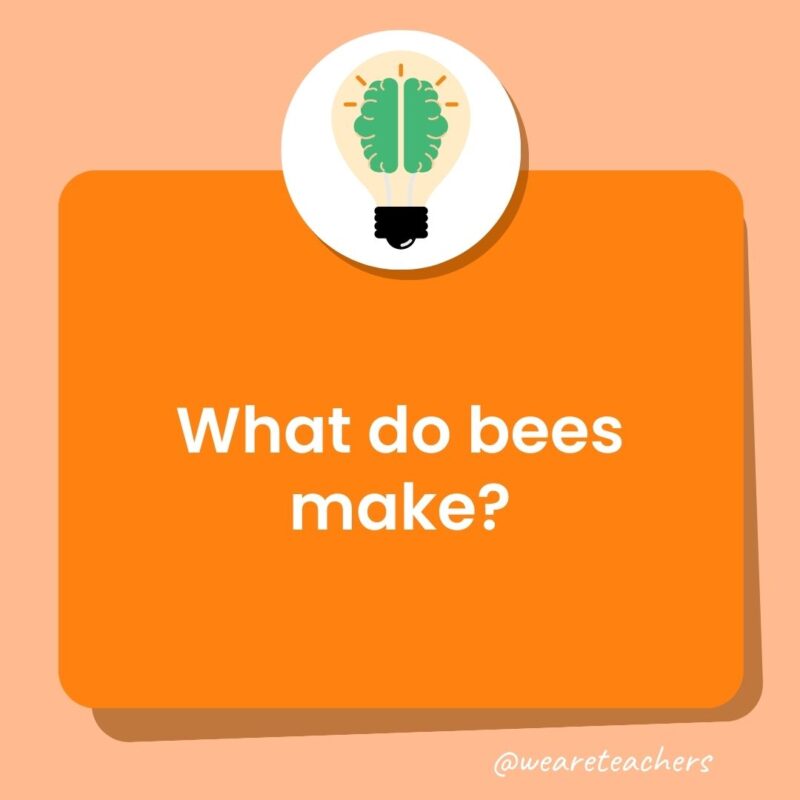 Trivia questions for kids: What do bees make?