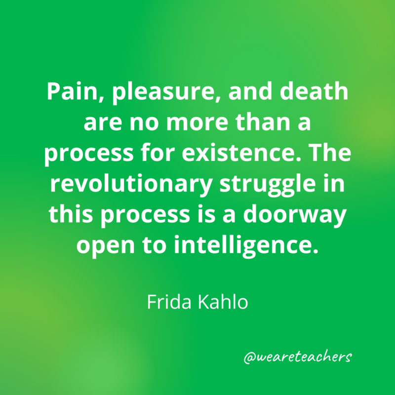 Pain, pleasure, and death are no more than a process for existence. The revolutionary struggle in this process is a doorway open to intelligence. 