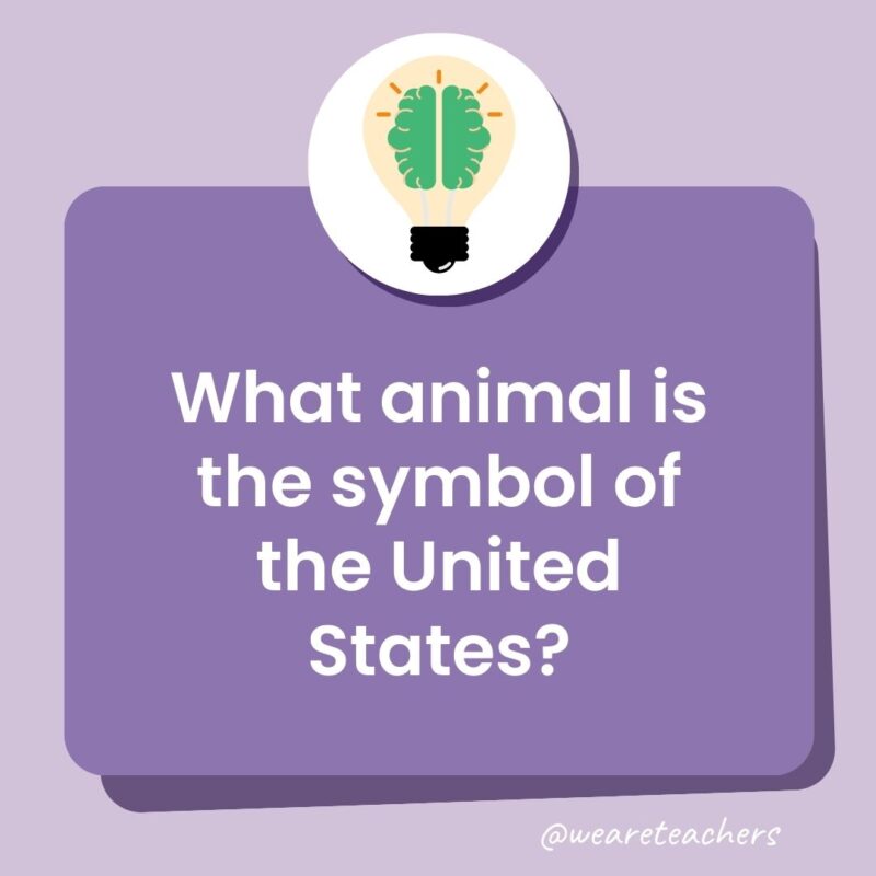 Trivia questions for kids: What animal is the symbol of America?