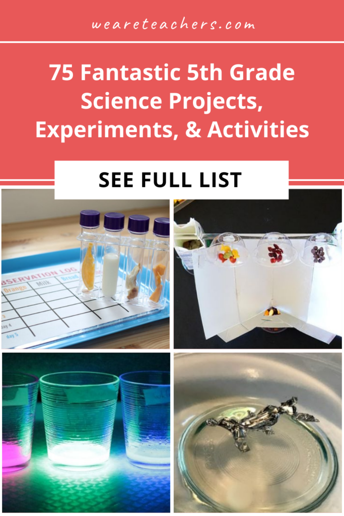 Find 5th grade science projects for the science fair, or get hands-on classroom activities on matter, ecosystems, astronomy, and more.