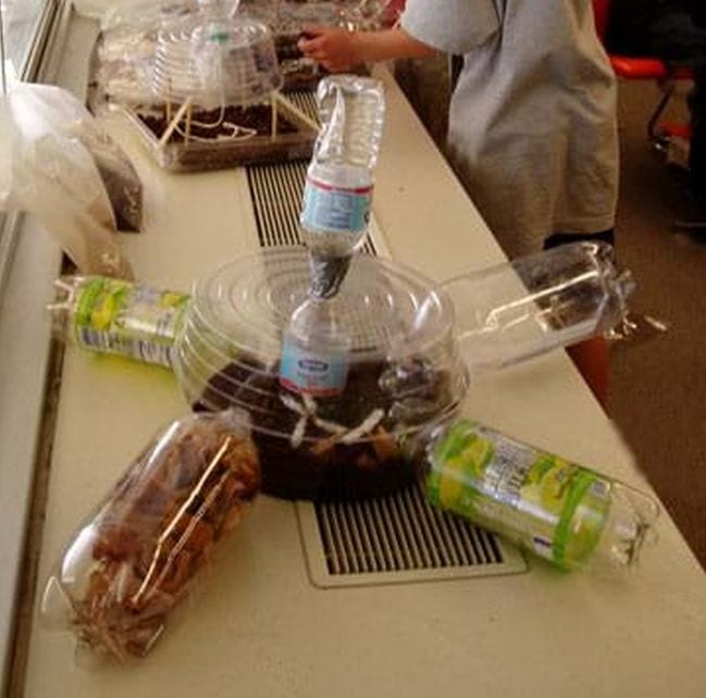 Model biodome made from plastic bottles and containers filled soil with and plants in this example of 6th grade science fair projects