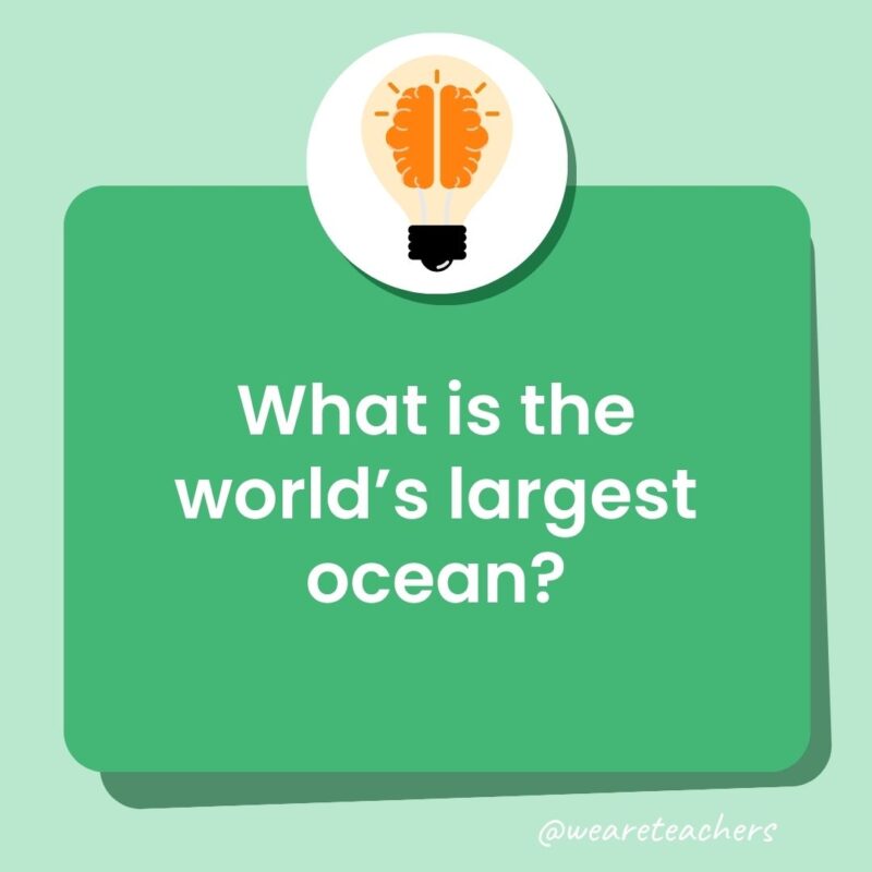 What is the world's largest ocean?