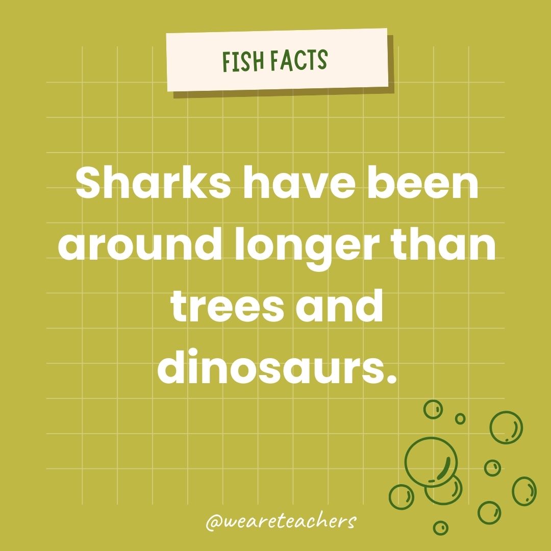 Sharks have been around longer than trees and dinosaurs.  