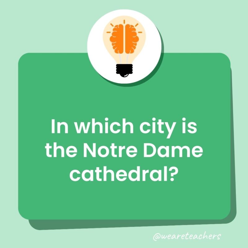 In which city is the Notre Dame cathedral?